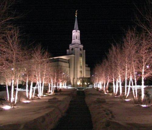 Temple Trees Five Years Ago