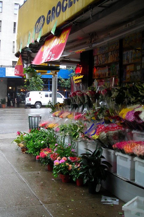 Streetside Flower Shop: NIKON COOLPIX L3 1/33 sec f 3.2 Flash: Not Fired 50 Streetside Flower Shop