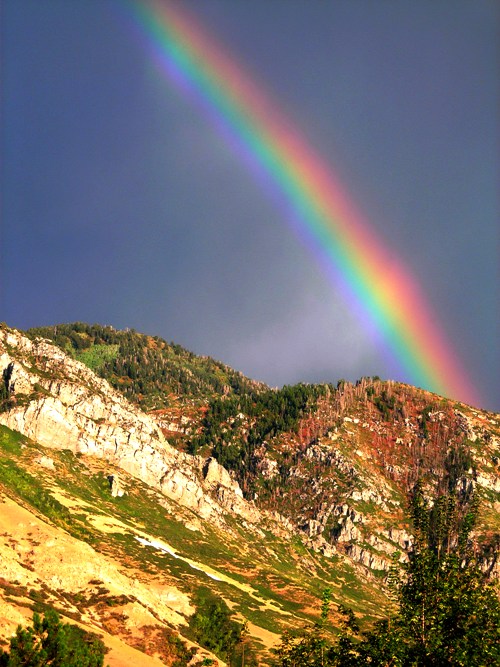 End of the Rainbow: NIKON COOLPIX L3 1/80 sec f 5.3 Flash: Not Fired 50 End of the Rainbow