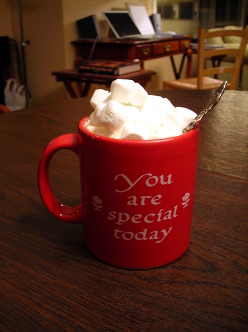 Have a little hot chocolate with your marshmallow!