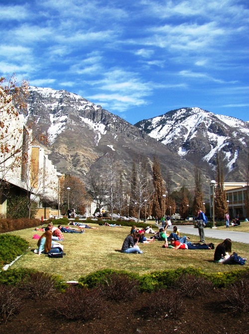 Spring Lawn