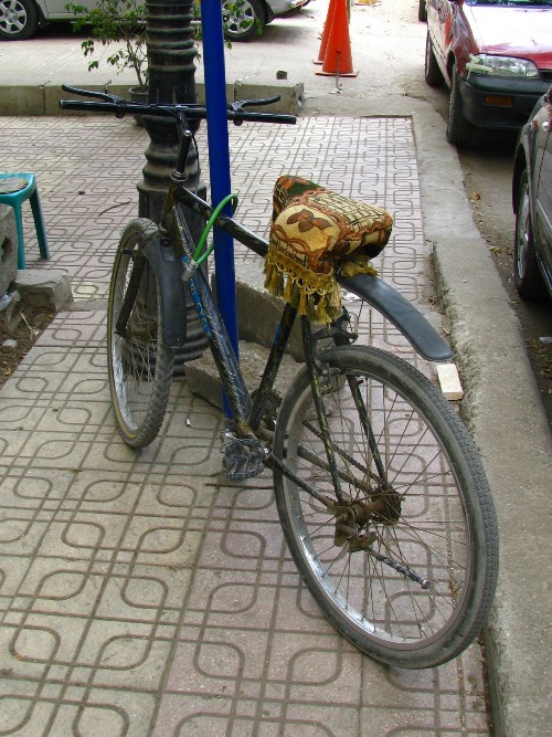 Biking, Arab Style