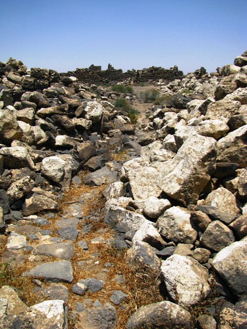 Road among the Ruins