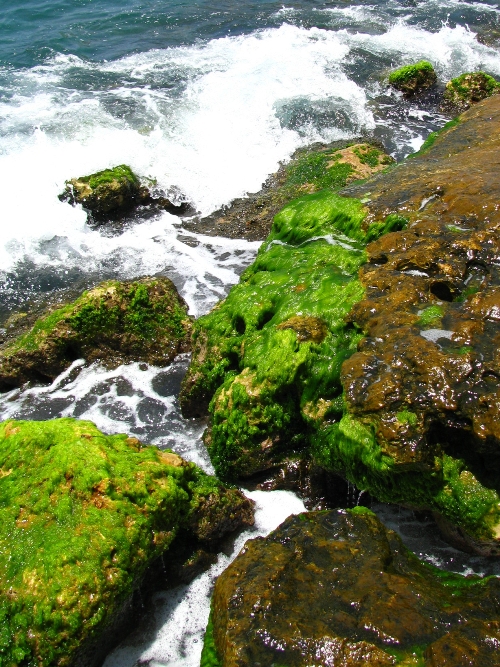 Sea Green
