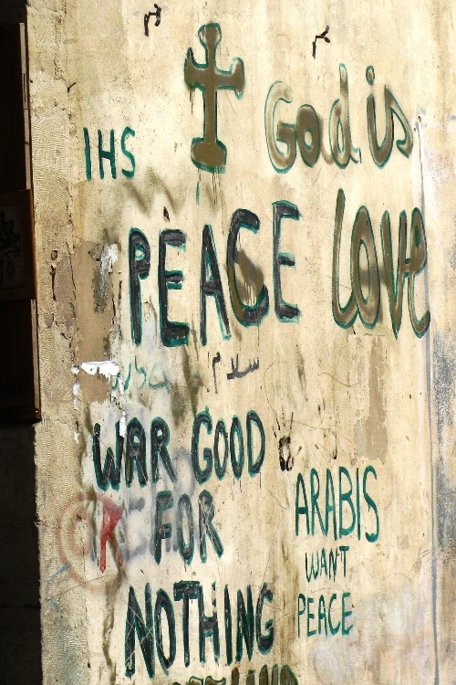 Arabis Want Peace