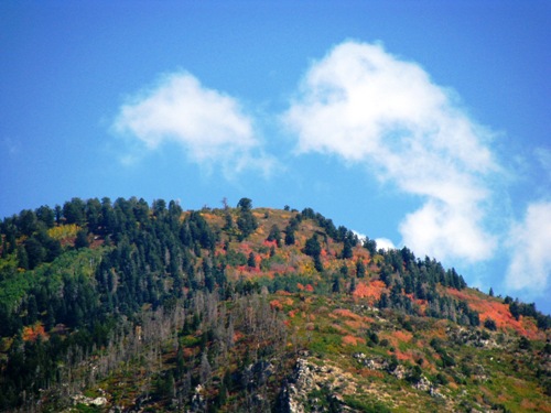 Mountaintop Autumn: Canon Canon PowerShot SX100 IS 1/640 sec f 4.3 Flash: Not Fired 80 Mountaintop Autumn