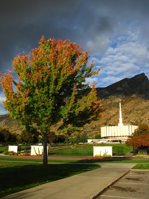 Provo Autumn