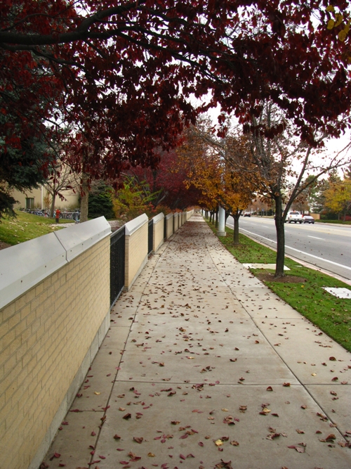 Autumn road