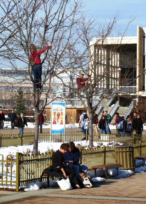 Bringing down the lights