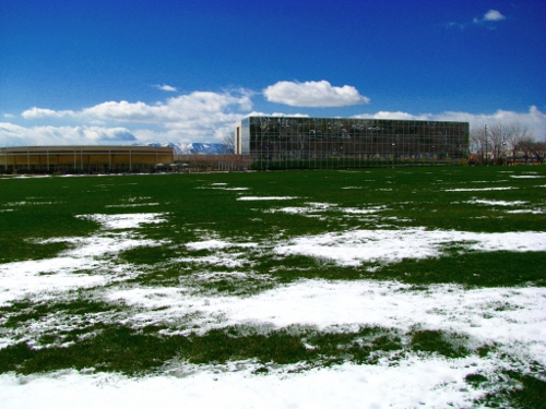 Confused spring
