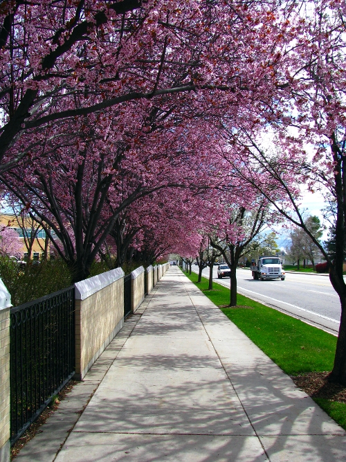Violet corridor