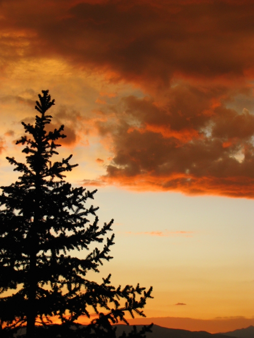 Another sunset