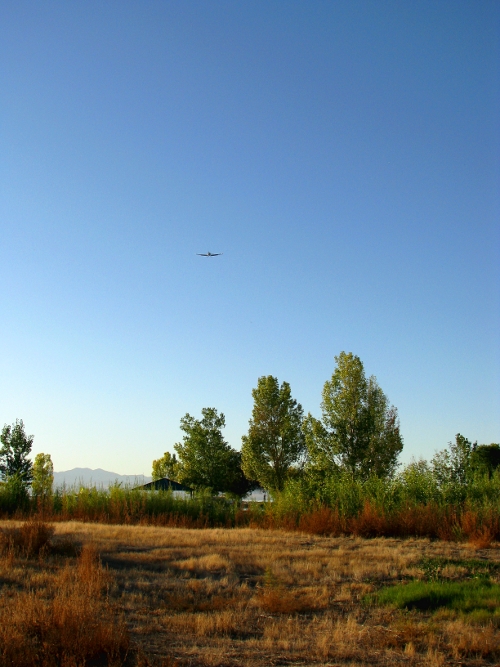 Coming in for a landing