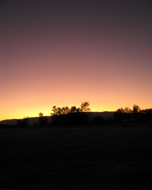 Purple sunset