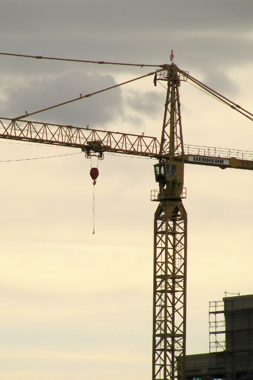 Crane: Canon Canon PowerShot SX100 IS 1/1250 sec f 4.3 Flash: Not Fired 80 Crane
