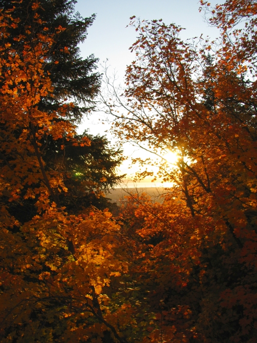 Autumn sunset