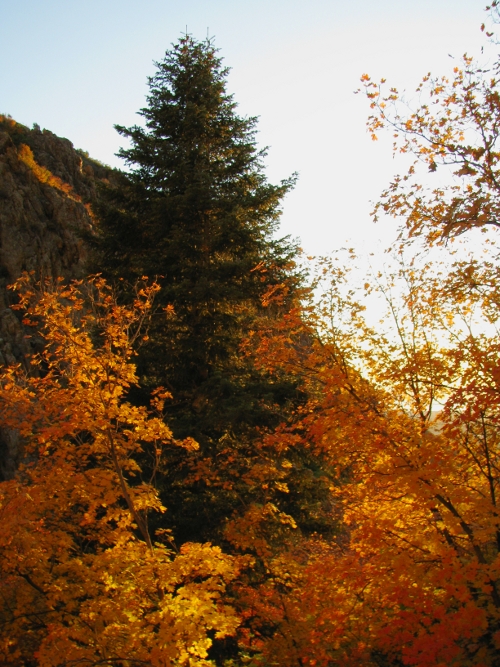 Autumn sunset II