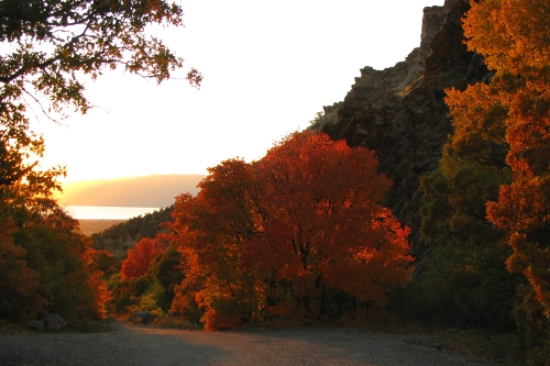 Burning sunset