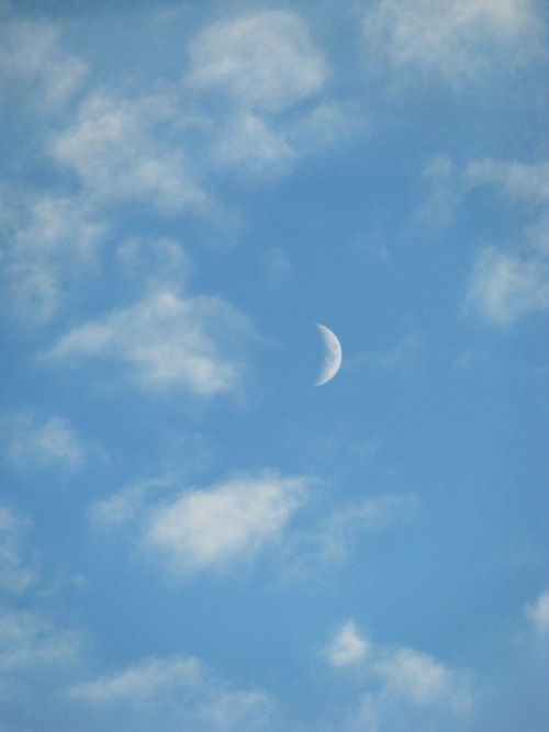 Cloudy moon sky