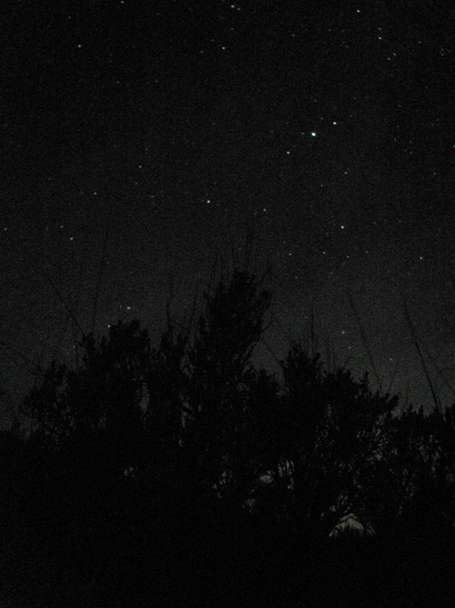Starry field