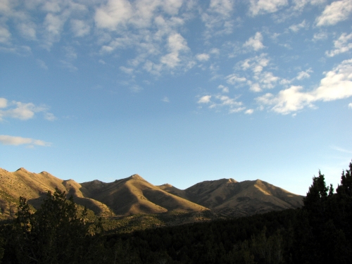 Windy landscape