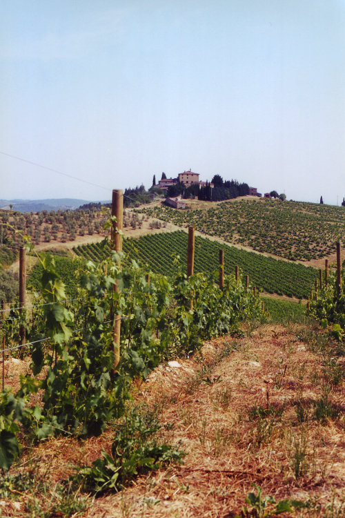 Tuscan Vinyard: N/A N/A 0 sec N/A Flash: Fired N/A Tuscan Vinyard