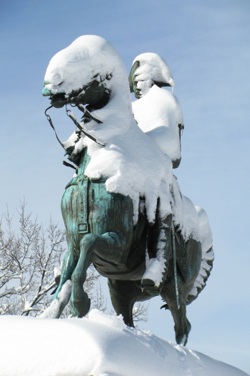 Washington meets Snowmageddon