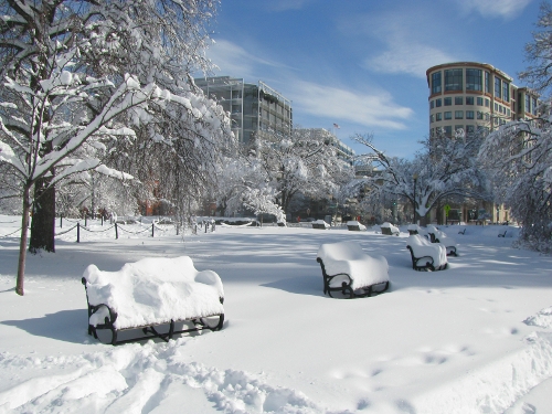 Snowmageddon fallout