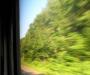 Rushing Home