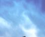 Omens