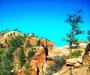 The Perilous Trail to Angel's Landing