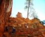 Switchbacks