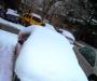 Snowed In