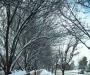 Snow Tunnel