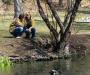Duck Pond Couple I