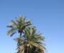 City of Dates