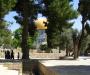 On the Temple Mount