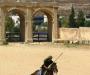 Arab Horseman