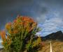 Provo Autumn
