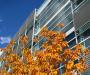 BYU Autumn