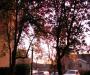 FLSR Autumn sunset