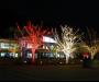 Lights