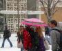 Snow umbrella