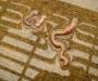 Worms