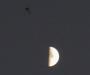 Dragonfly moon