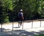 Unicycler