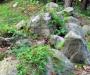 Verdant II