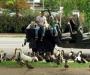 Feed the birds