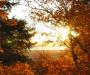 Autumn sunset