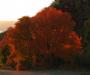 Burning sunset